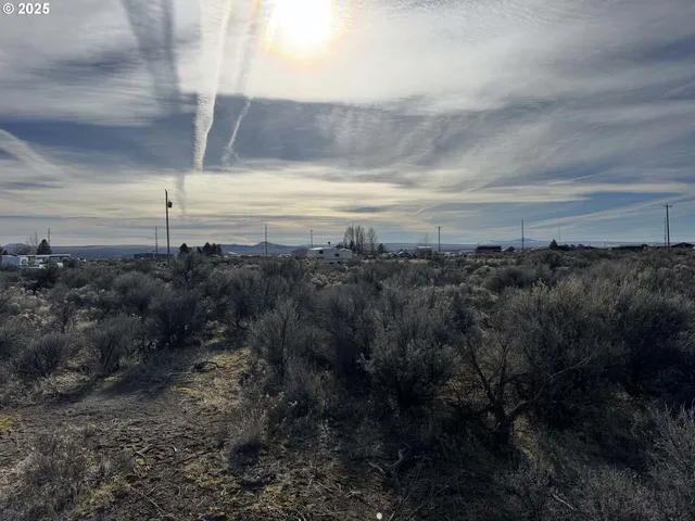 a view of a big yard with lots of bushes