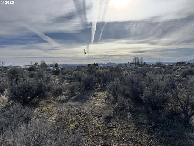 a view of a bunch of trees