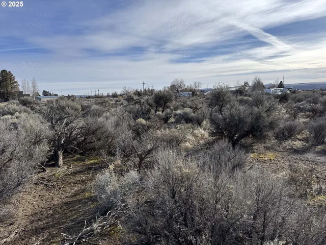 a view of a bunch of trees in a field