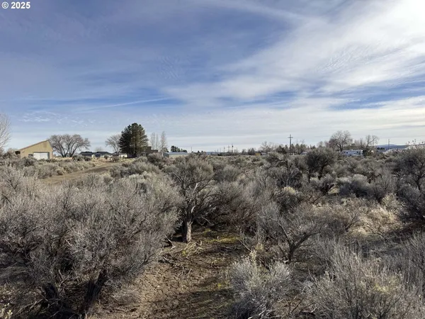 $6,000 | Hemlock Street, Unit TL500, Christmas Valley, OR 97641