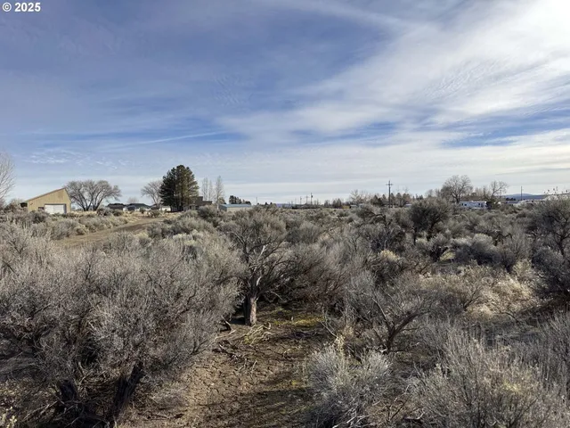 a view of a dry yard with wooden fence