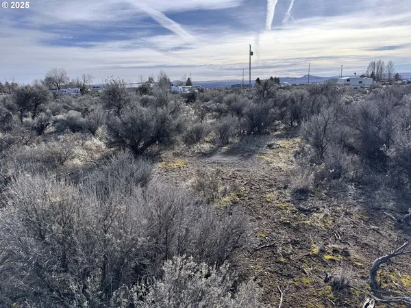 $6,000 | Hemlock Street, Unit TL500, Christmas Valley, OR 97641