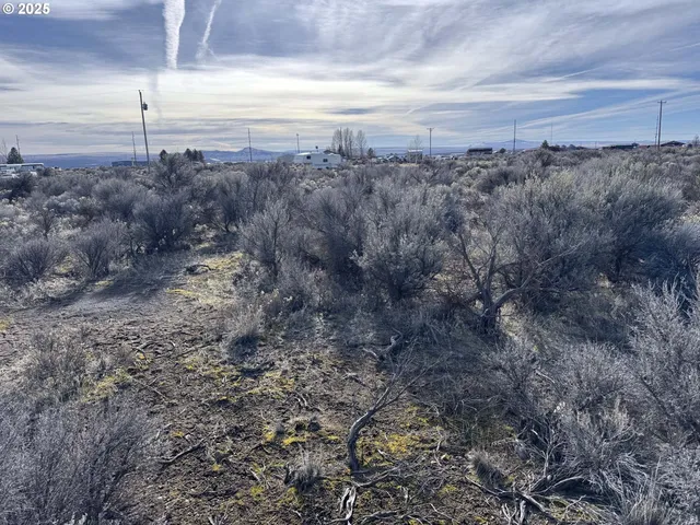 $6,000 | Hemlock Street, Unit TL500, Christmas Valley, OR 97641