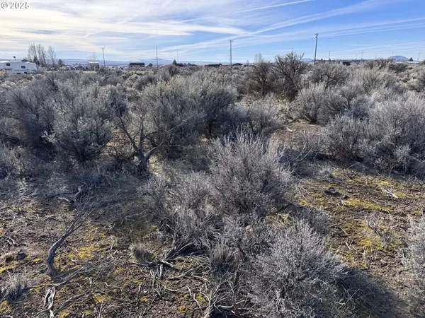 $6,000 | Hemlock Street, Unit TL500, Christmas Valley, OR 97641