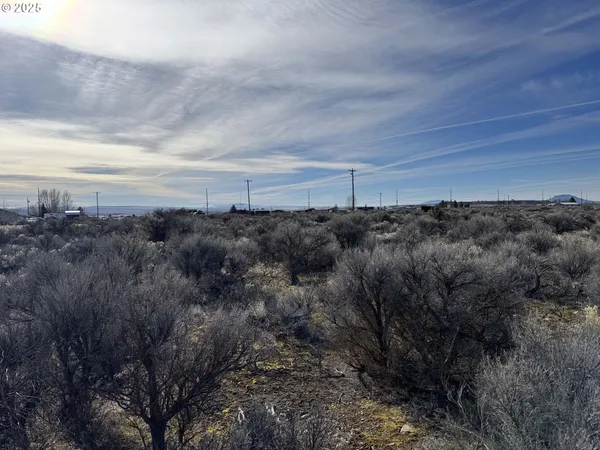 $6,000 | Hemlock Street, Unit TL500, Christmas Valley, OR 97641