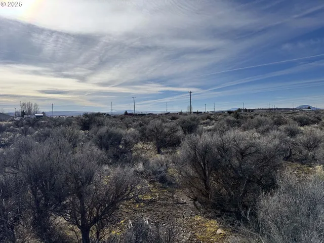 a view of a bunch of trees and bushes