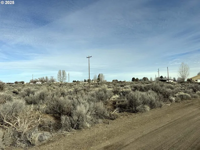a view of a rural road with plants