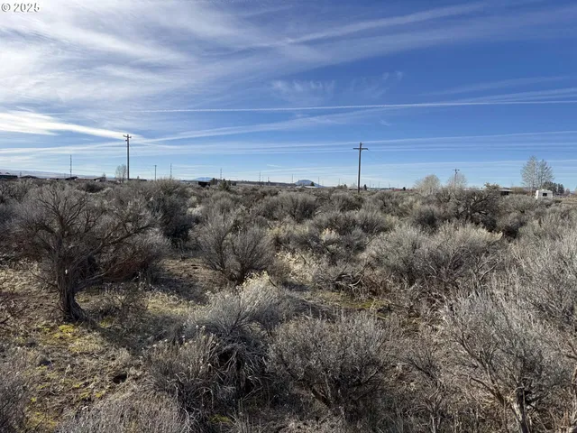a view of a dry yard