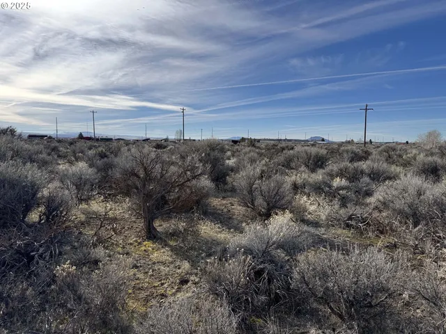 a view of a dry yard with lots of bushes