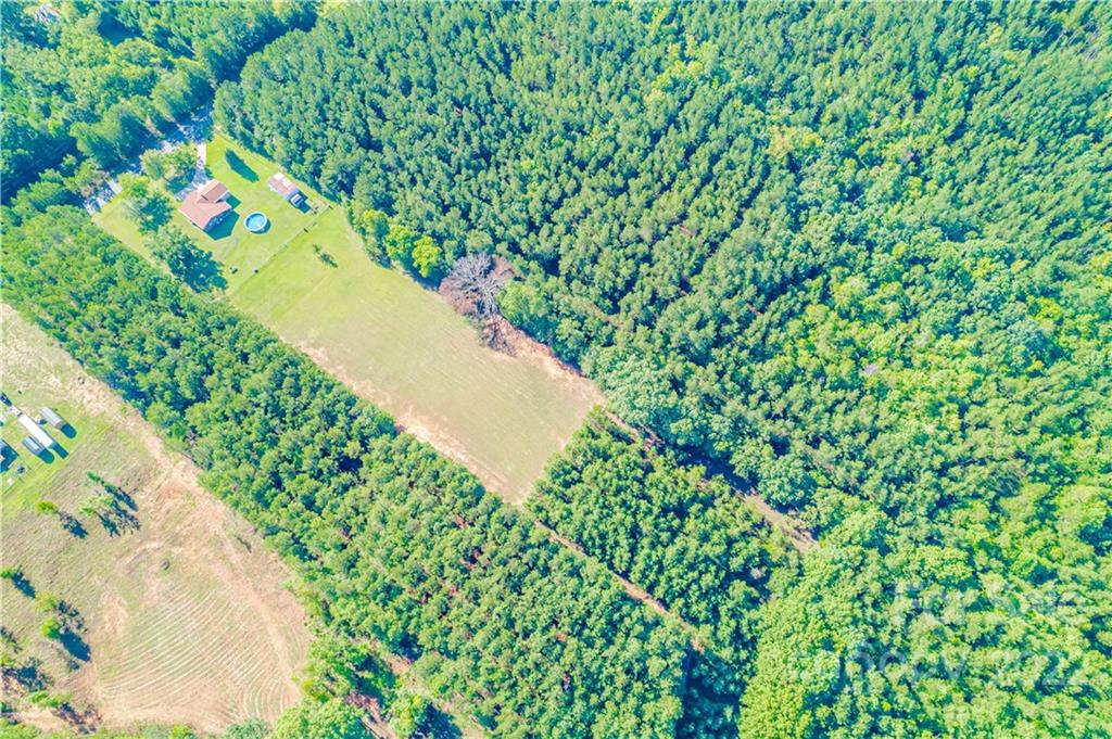 8264 Lockhart Road Sharon, SC 29742 - Photo 20 of 46 a view of a garden