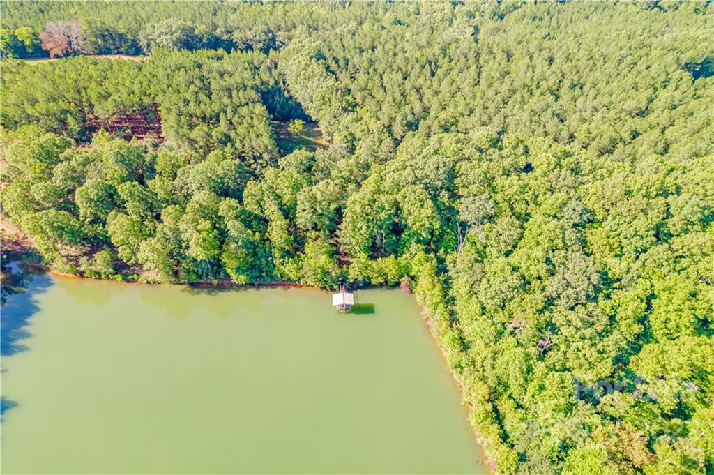 8264 Lockhart Road Sharon, SC 29742 - Photo 24 of 46 a view of a lake with a tree