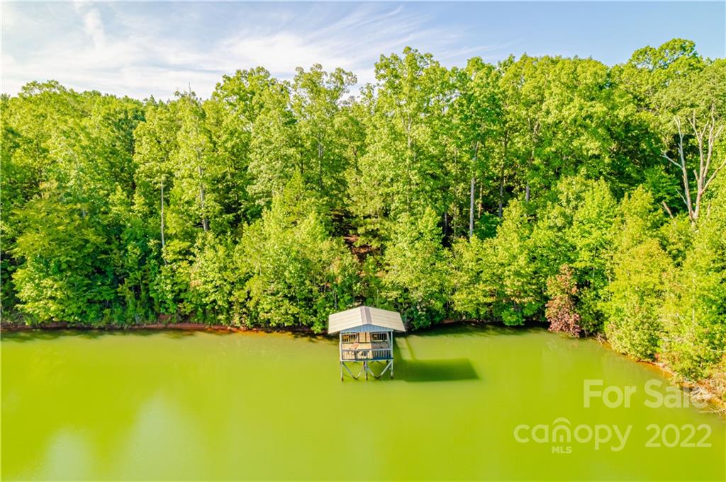 8264 Lockhart Road Sharon, SC 29742 - Photo 26 of 46 a small garden with trees in the background