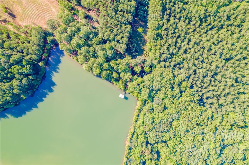 8264 Lockhart Road Sharon, SC 29742 - Photo 27 of 46 a view of a lake