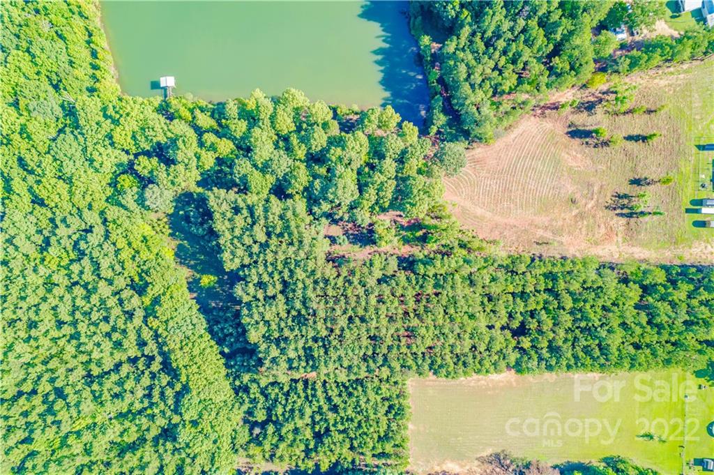 8264 Lockhart Road Sharon, SC 29742 - Photo 30 of 46 a backyard of a house with lots of green space