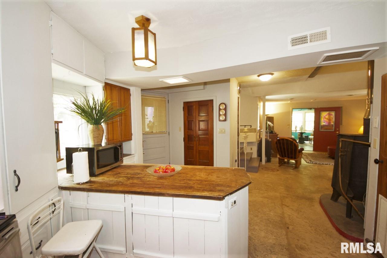 79 Turtle Road Carbondale, IL 62902 - Photo 4 of 32