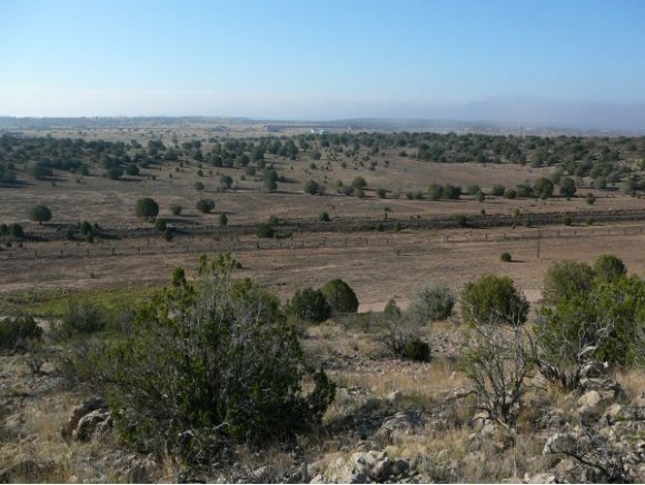 0 East Prescott Ranch Road Paulden, AZ 86334 - Photo 1 of 1 Primary Photo