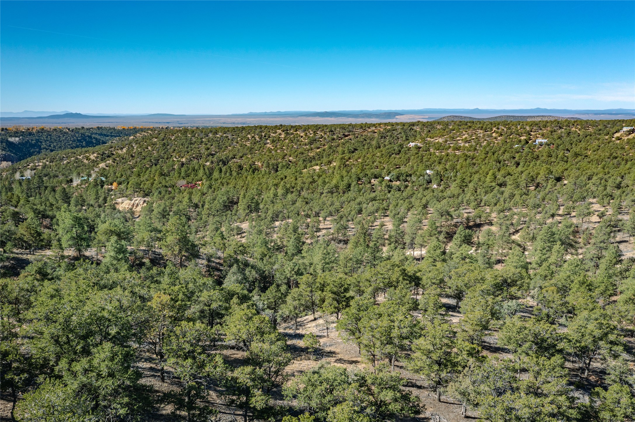 0 Gallina Canyon Road Valdez, NM 87580 - Photo 15 of 24