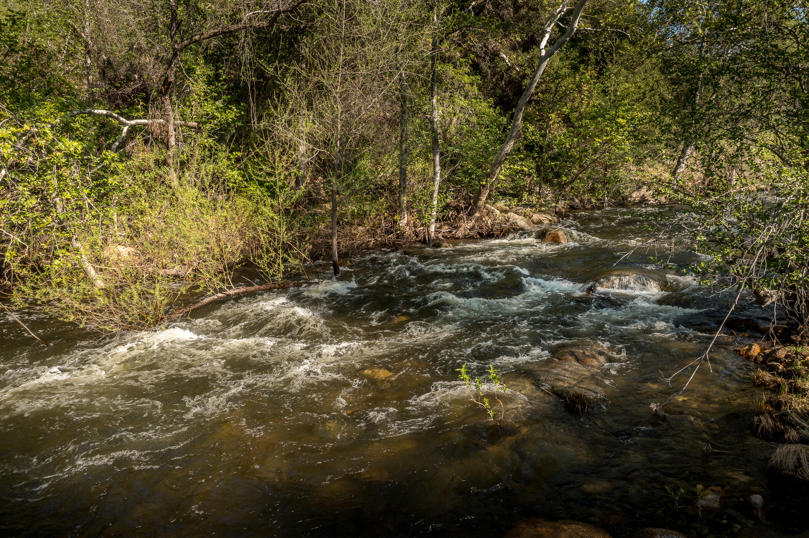 44335 North Fork Three Rivers, CA 93271 - Photo 21 of 53 DJI_0189-HDR