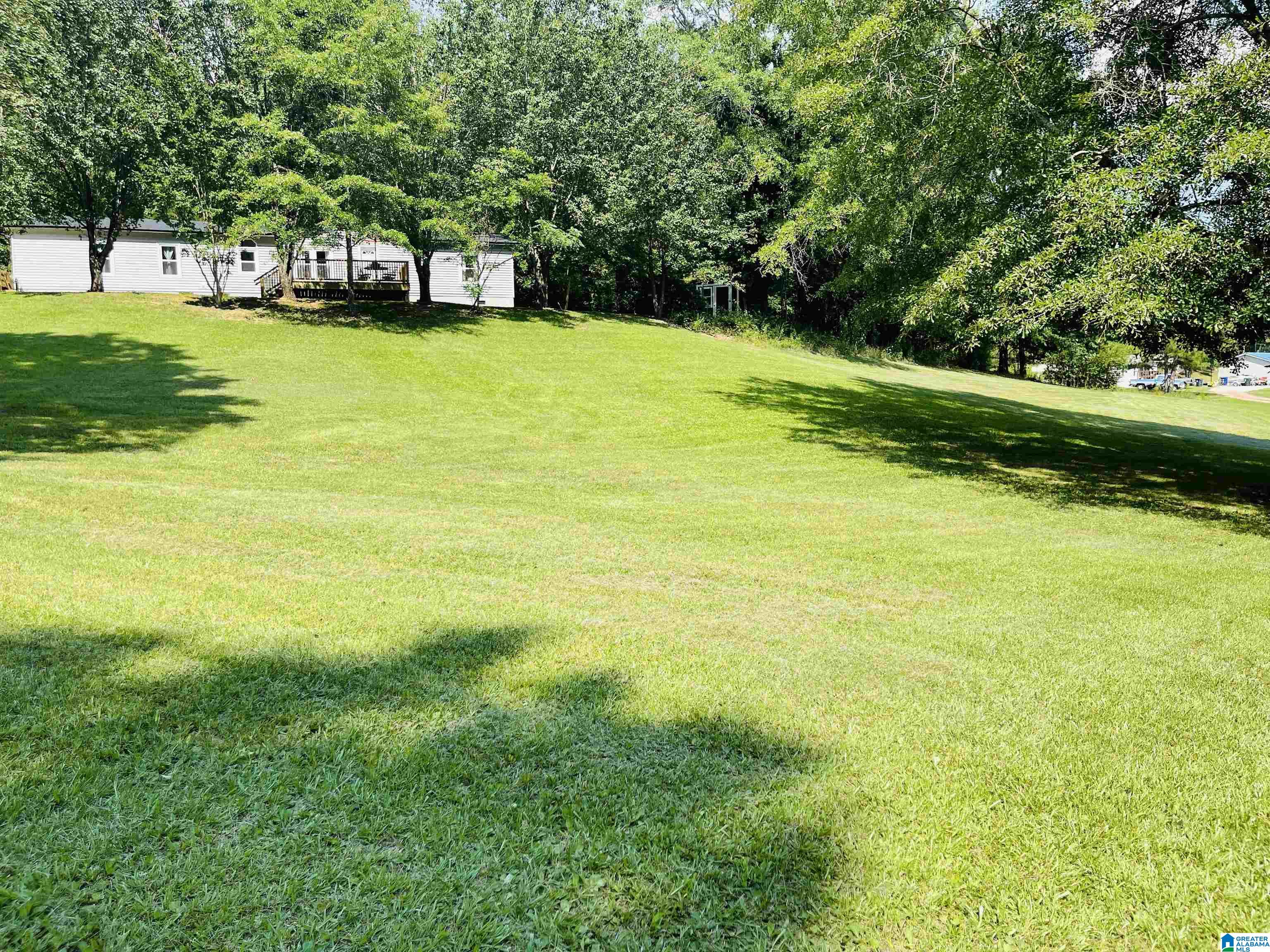 8100 Wolf Creek Road Pell City, AL 35128 - Photo 18 of 22