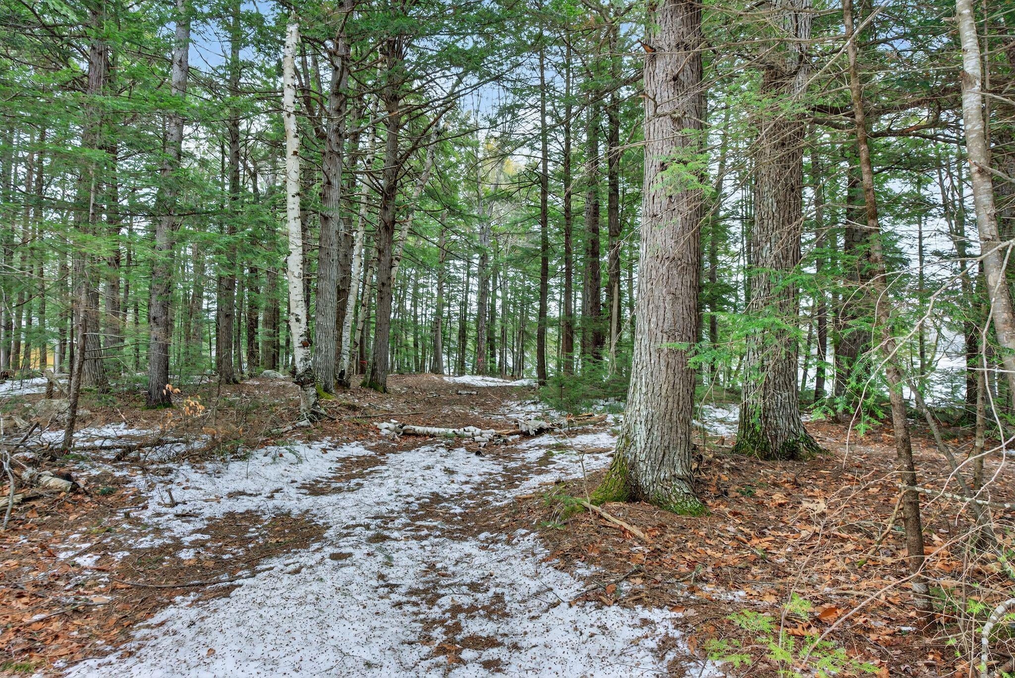 85 Waterview Trail Bridgton, ME 04009 - Photo 12 of 13 DSC03575
