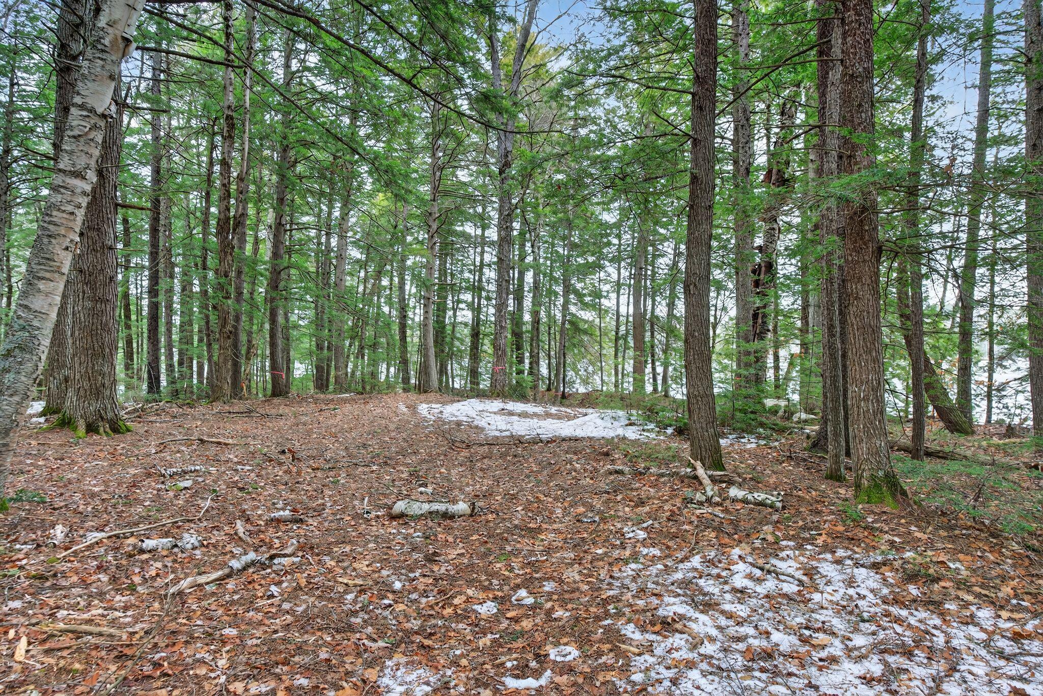 85 Waterview Trail Bridgton, ME 04009 - Photo 13 of 13 DSC03580