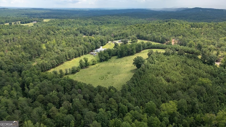 0 County Road 19 Heflin, AL 36264 - Photo 23 of 36