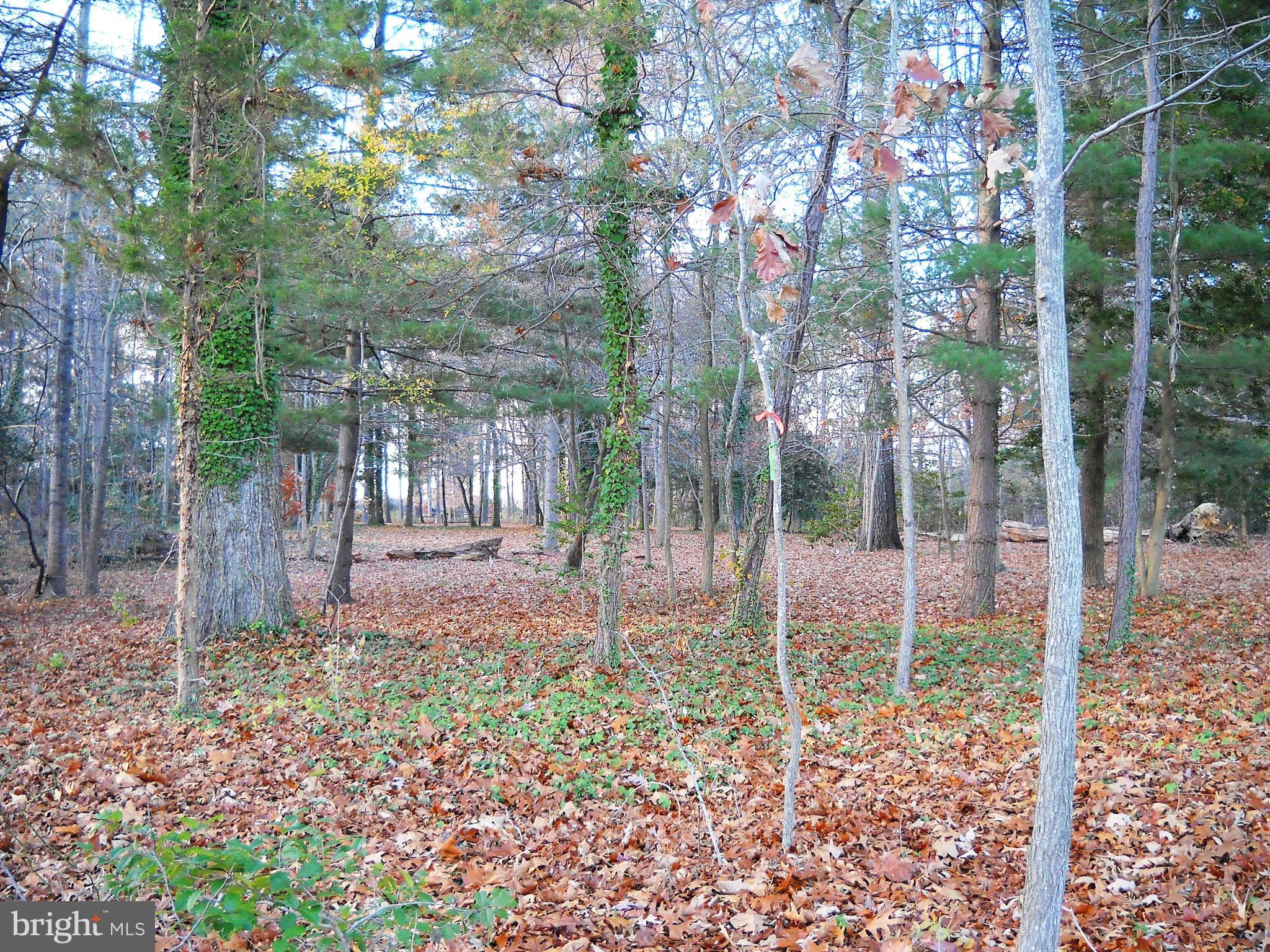 Leehaven Road Easton, MD 21601 - Photo 8 of 20 Gallery Image 8