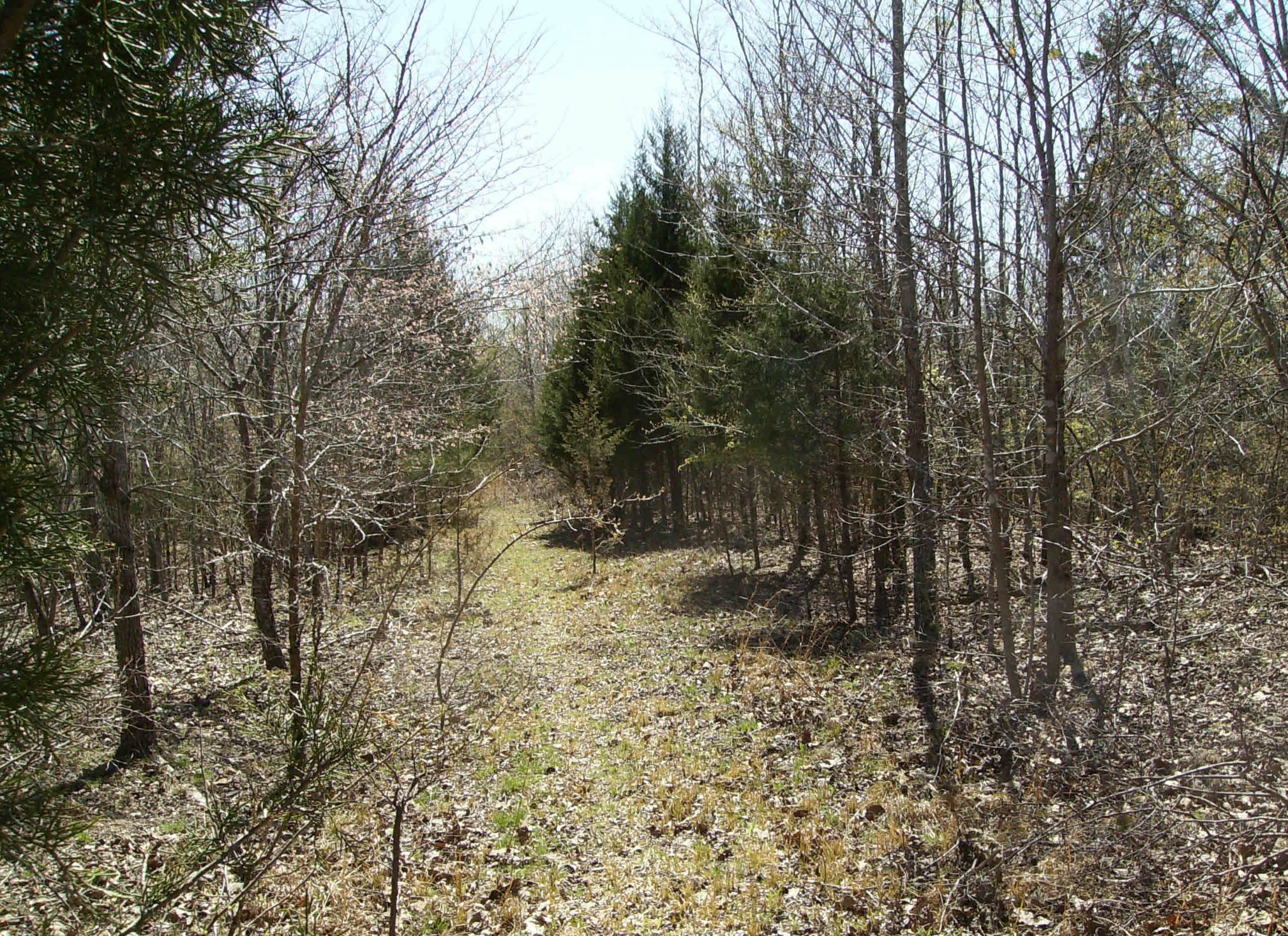0 Hartley Cemetery Road Sugar Tree, TN 38380 - Photo 1 of 7 Gallery Image 1