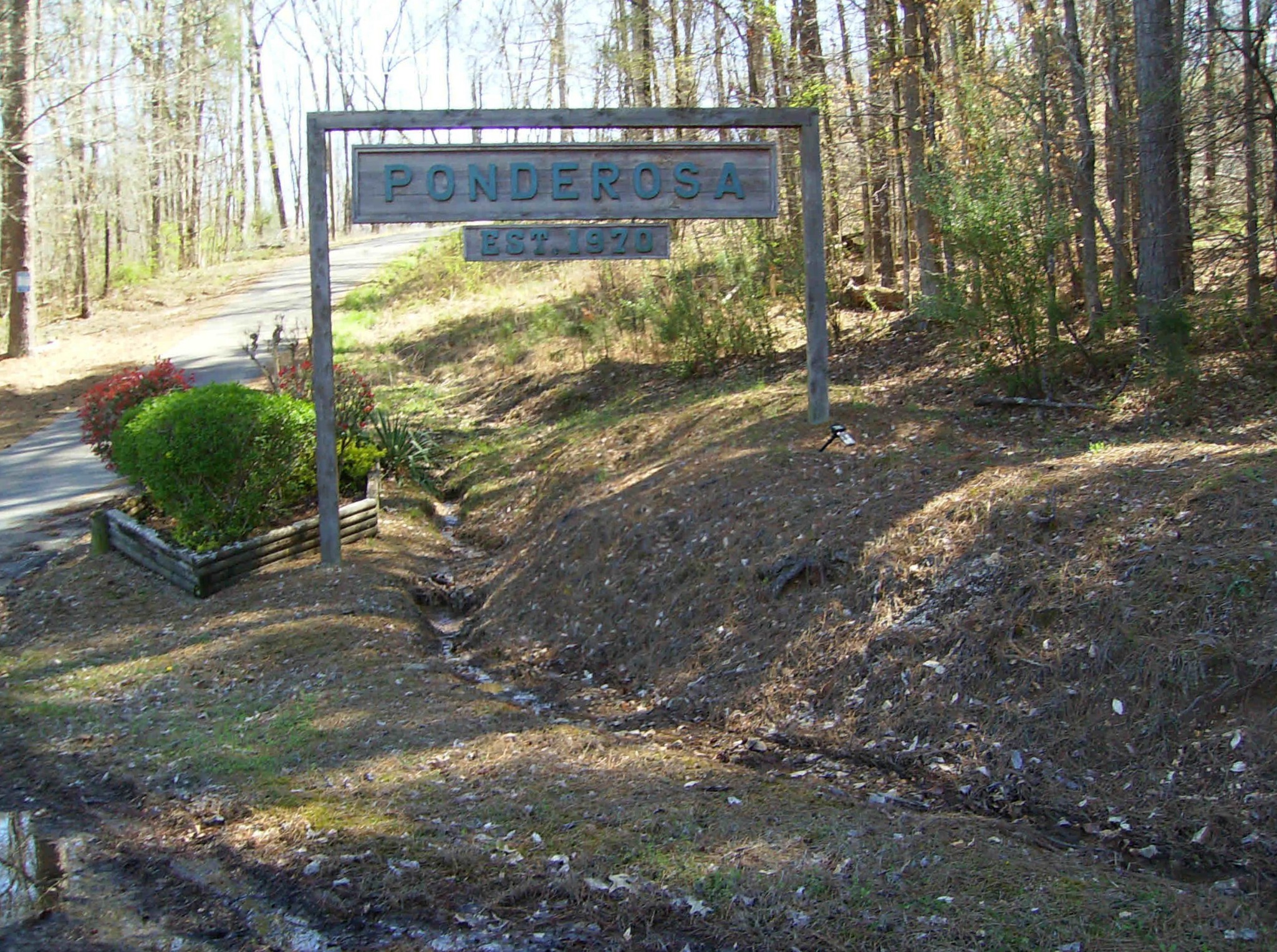 0 Hartley Cemetery Road Sugar Tree, TN 38380 - Photo 5 of 7 Gallery Image 5