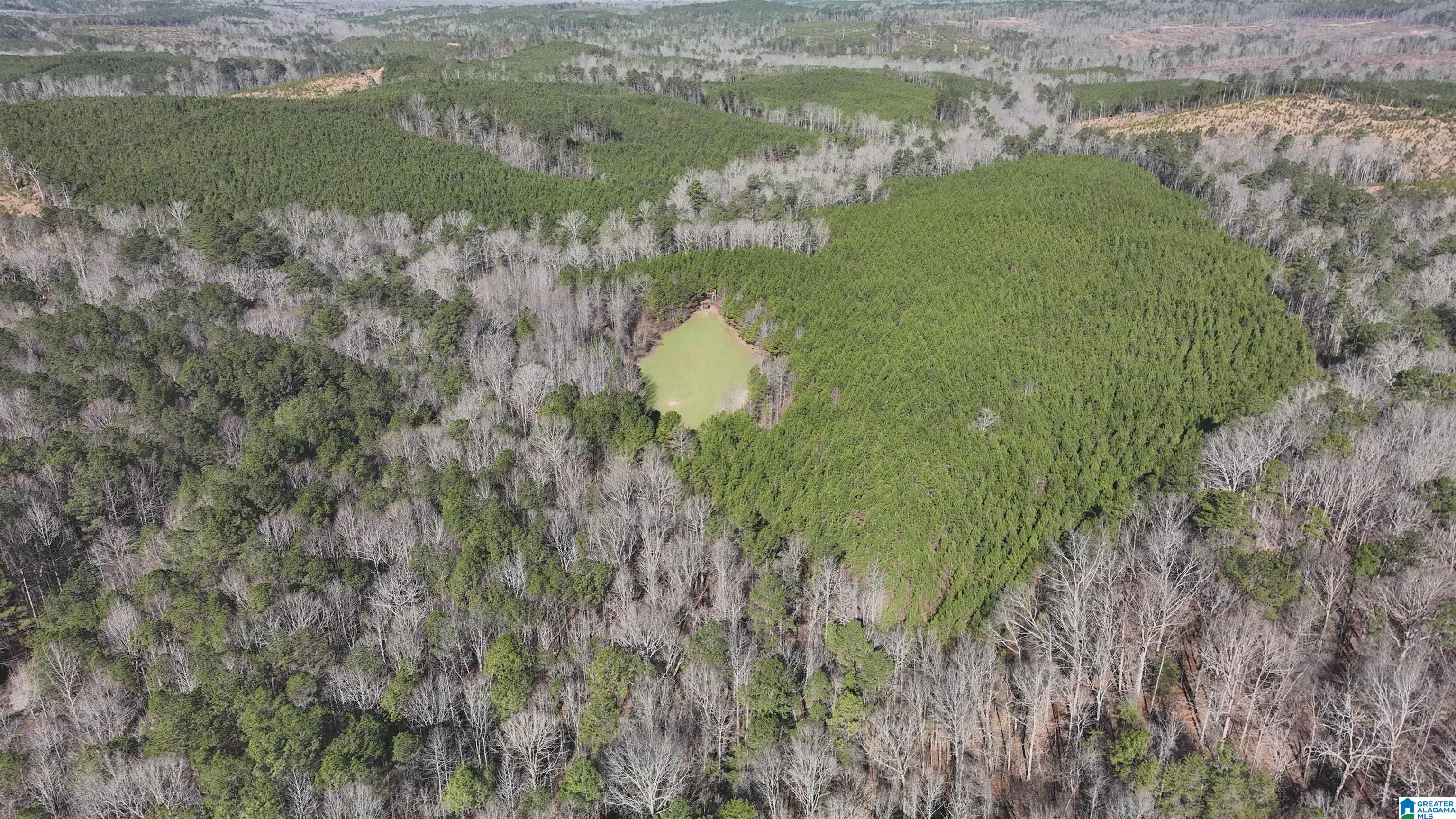 6171 Highway 102, Unit 1 Fayette, AL 35555 - Photo 31 of 68