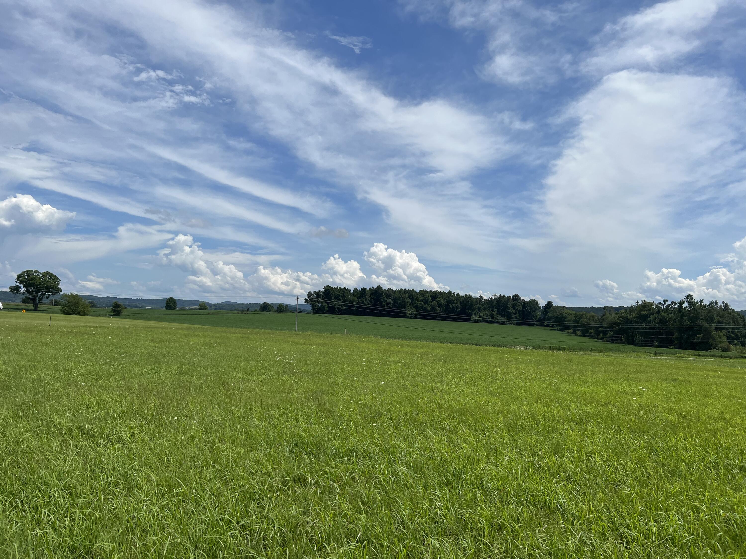 2367 Brindle Ridge Road Brodhead, KY 40409 - Photo 6 of 12 9C8930EE-9202-4953-B73C-C60B792A0B36