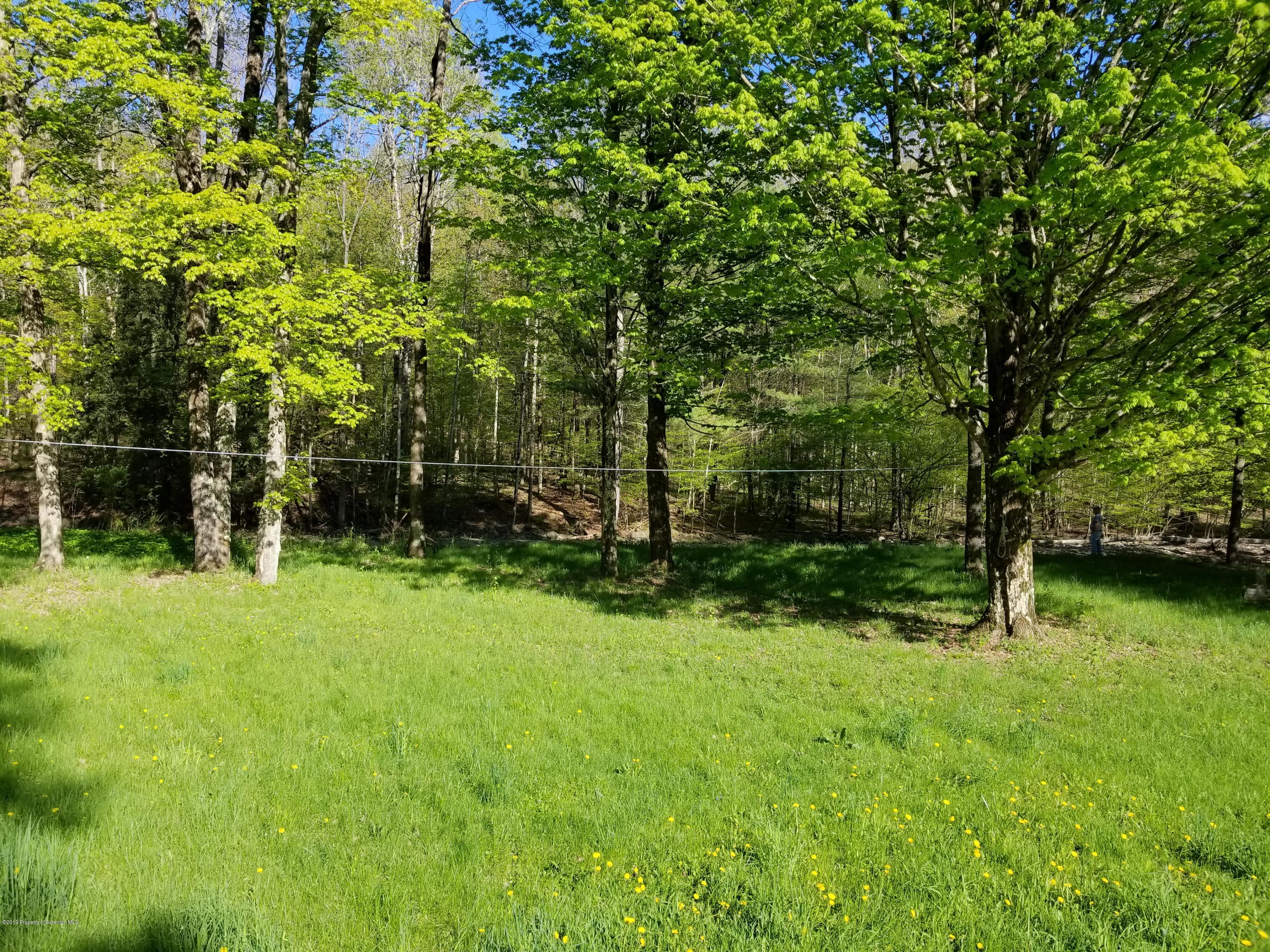 268 State Rte 4013 Little Meadows, PA 18830 - Photo 11 of 48 a backyard of a house with lots of green space