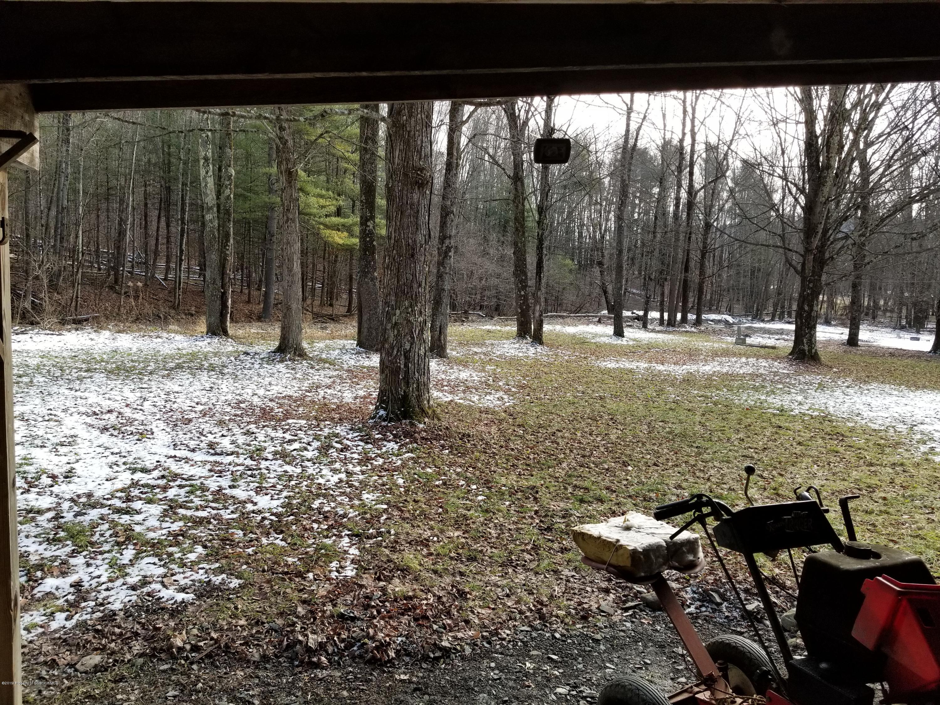 268 State Rte 4013 Little Meadows, PA 18830 - Photo 7 of 48 a view of a yard with a tree