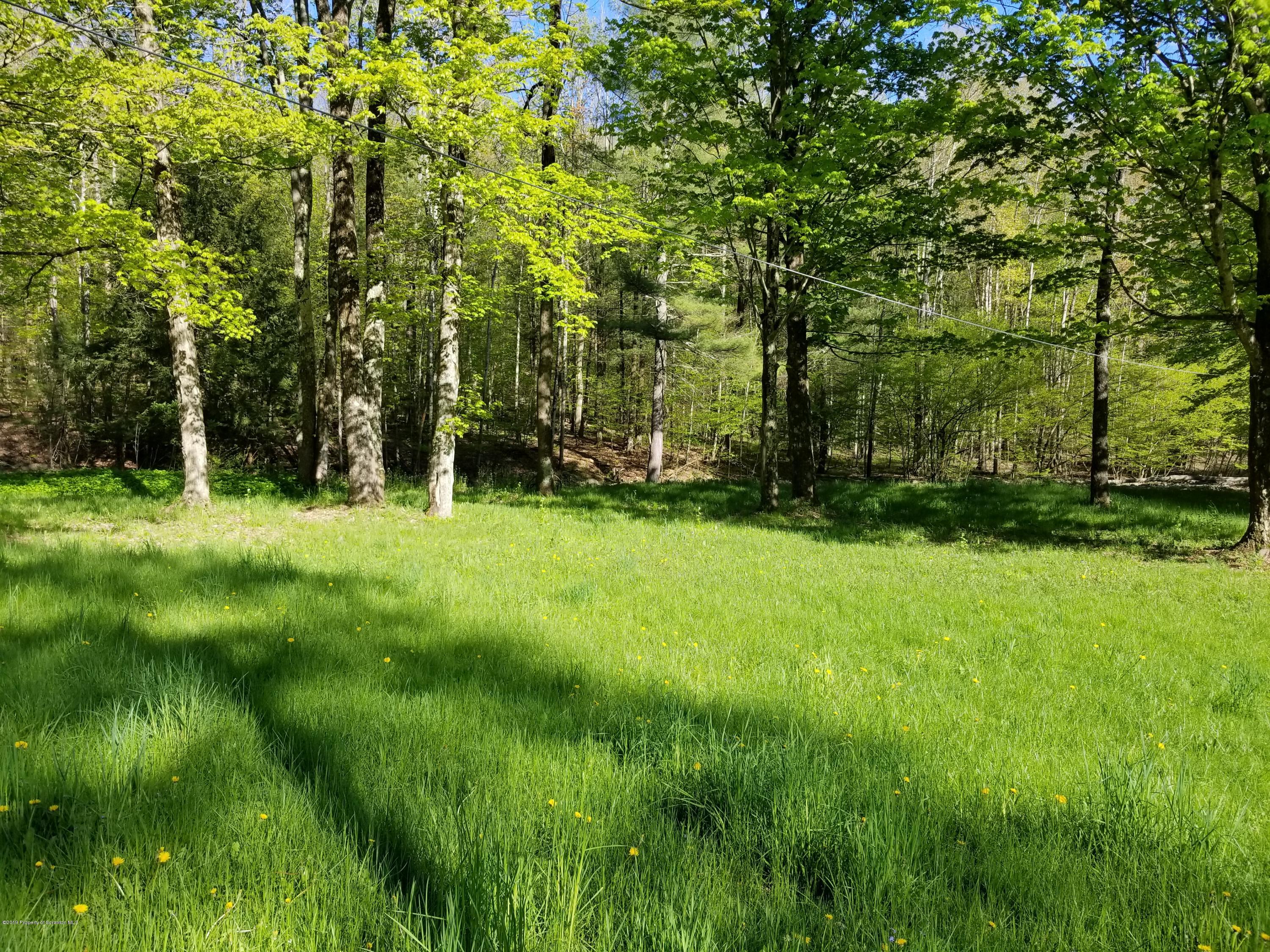 268 State Rte 4013 Little Meadows, PA 18830 - Photo 10 of 48 a view of park with trees