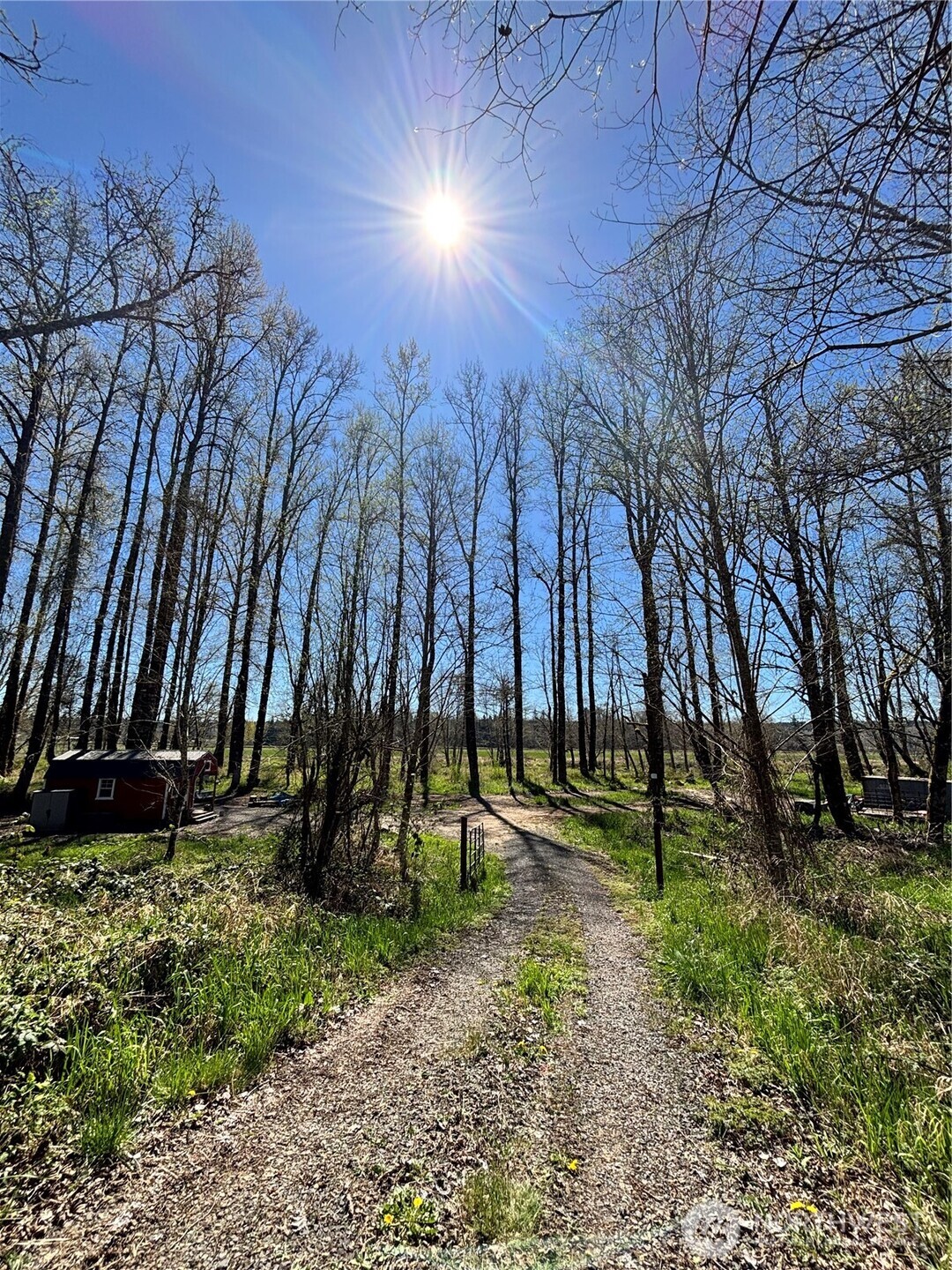 1554 State Route 508 Chehalis, WA 98532 - Photo 3 of 26 a view of outdoor space with trees