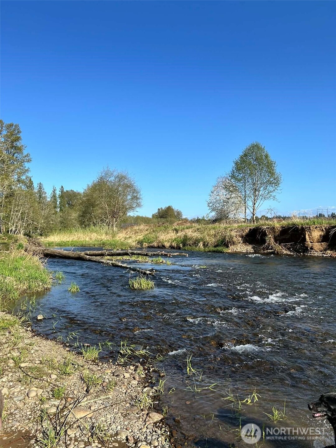 1554 State Route 508 Chehalis, WA 98532 - Photo 4 of 26 a view of a lake