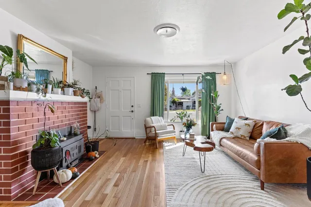 a living room with furniture or couch and a potted plant