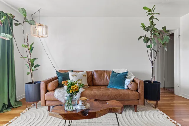 a living room with furniture and a potted plant