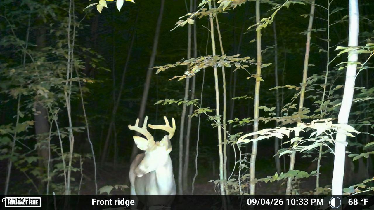 1711 County Rte 27 Taghkanic, NY 12521 - Photo 15 of 48 IMG_20260914_132040