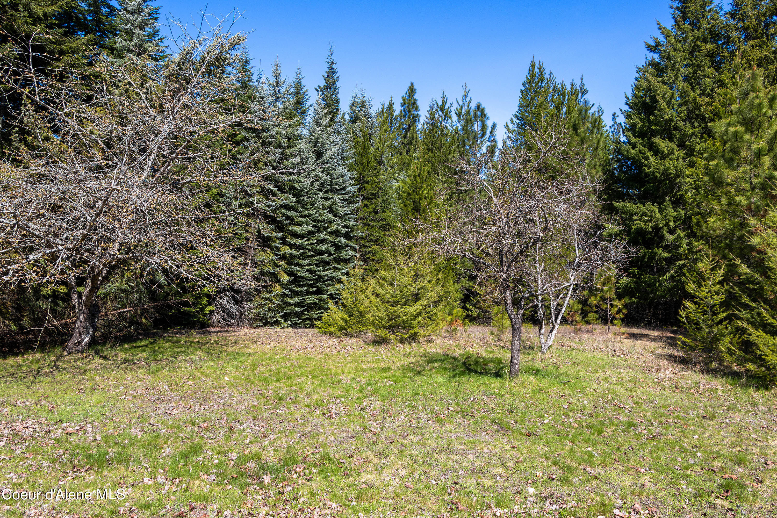 1169 Algoma Spur Road Sagle, ID 83860 - Photo 39 of 41 The property