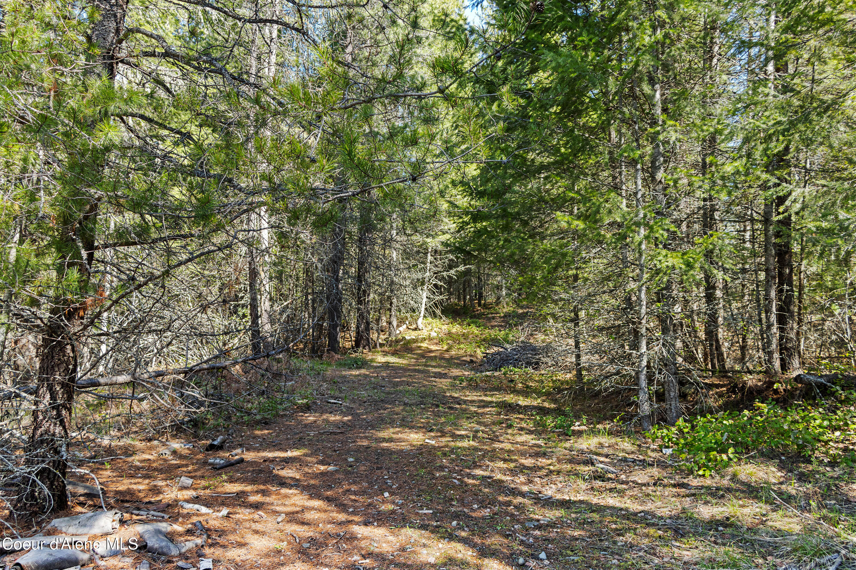 1169 Algoma Spur Road Sagle, ID 83860 - Photo 40 of 41 Trails