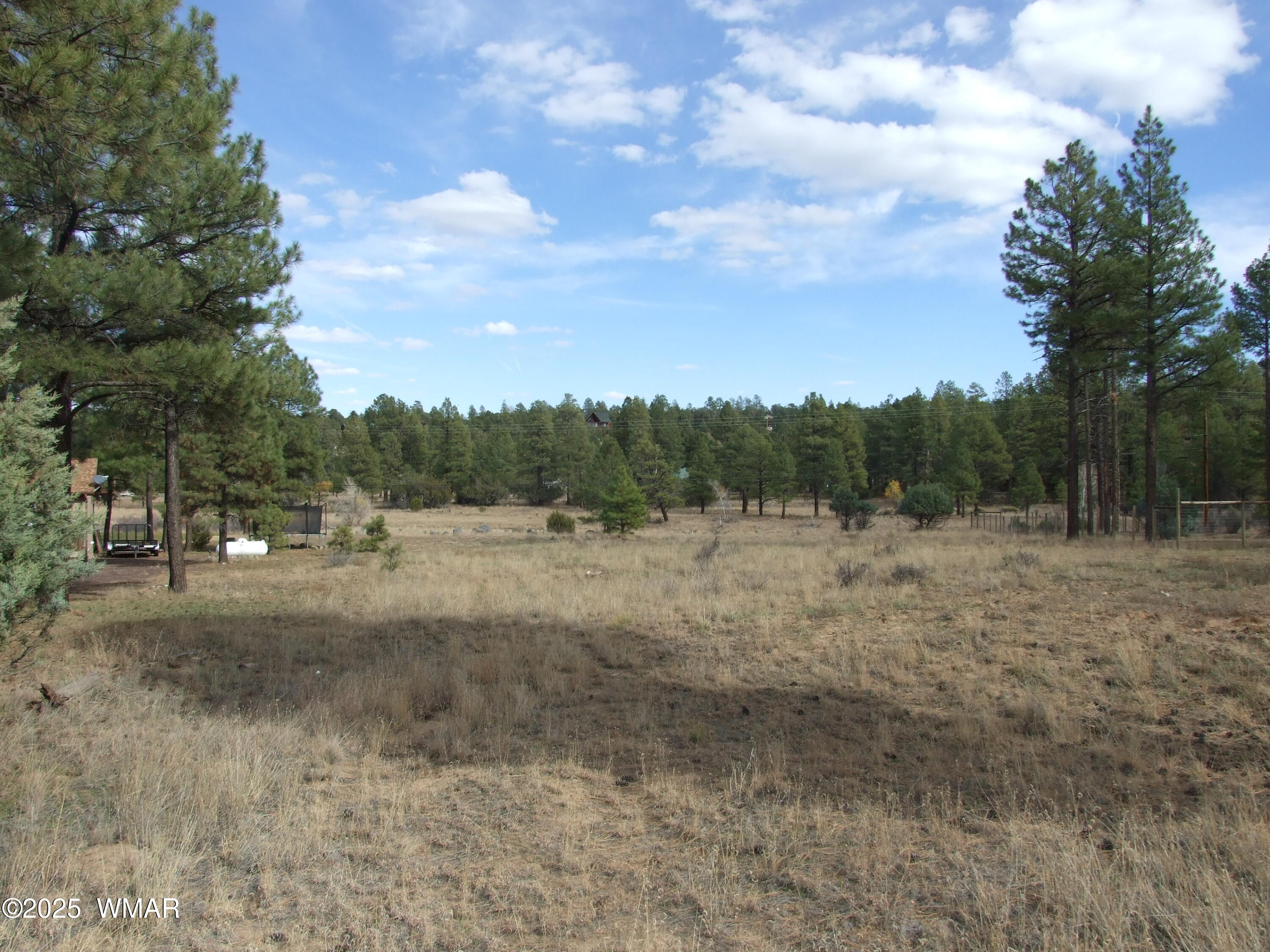 2925 Buckskin Canyon Road Heber, AZ 85928 - Photo 1 of 22 a view of outdoor space with green field and trees