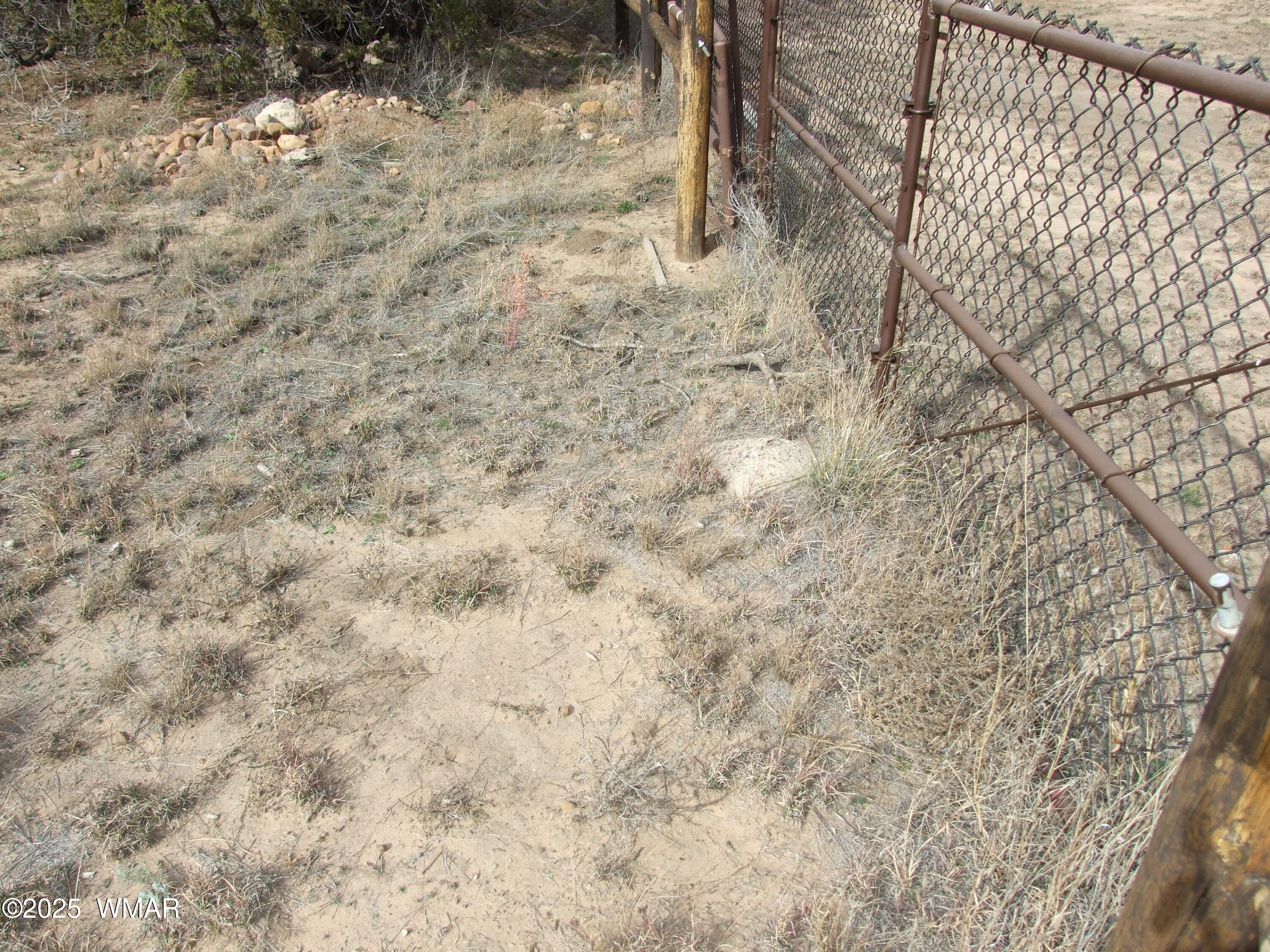 2925 Buckskin Canyon Road Heber, AZ 85928 - Photo 14 of 22 a view of a yard