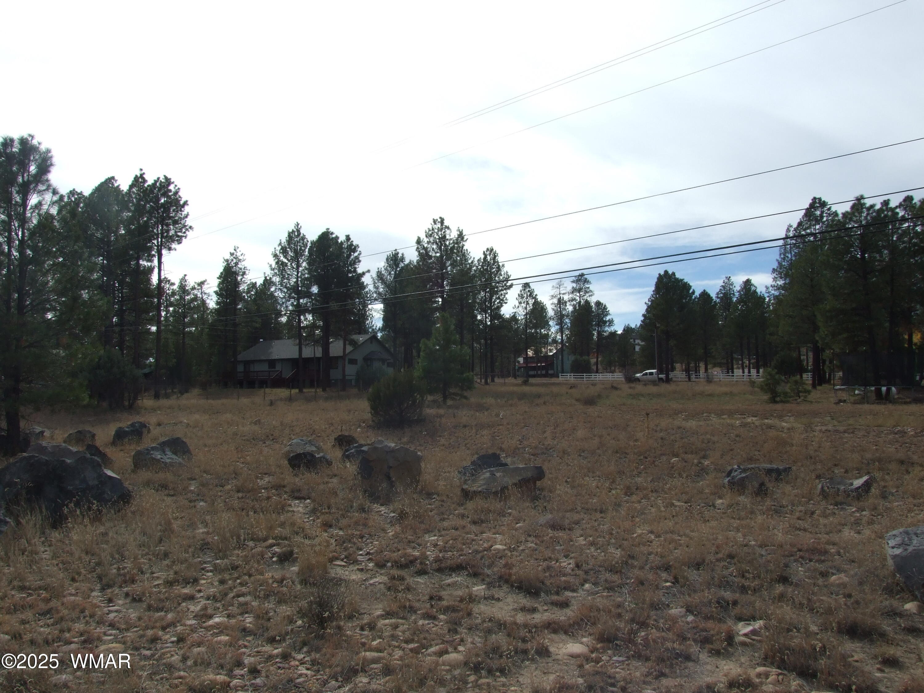 2925 Buckskin Canyon Road Heber, AZ 85928 - Photo 18 of 22 a view of a yard with a tree