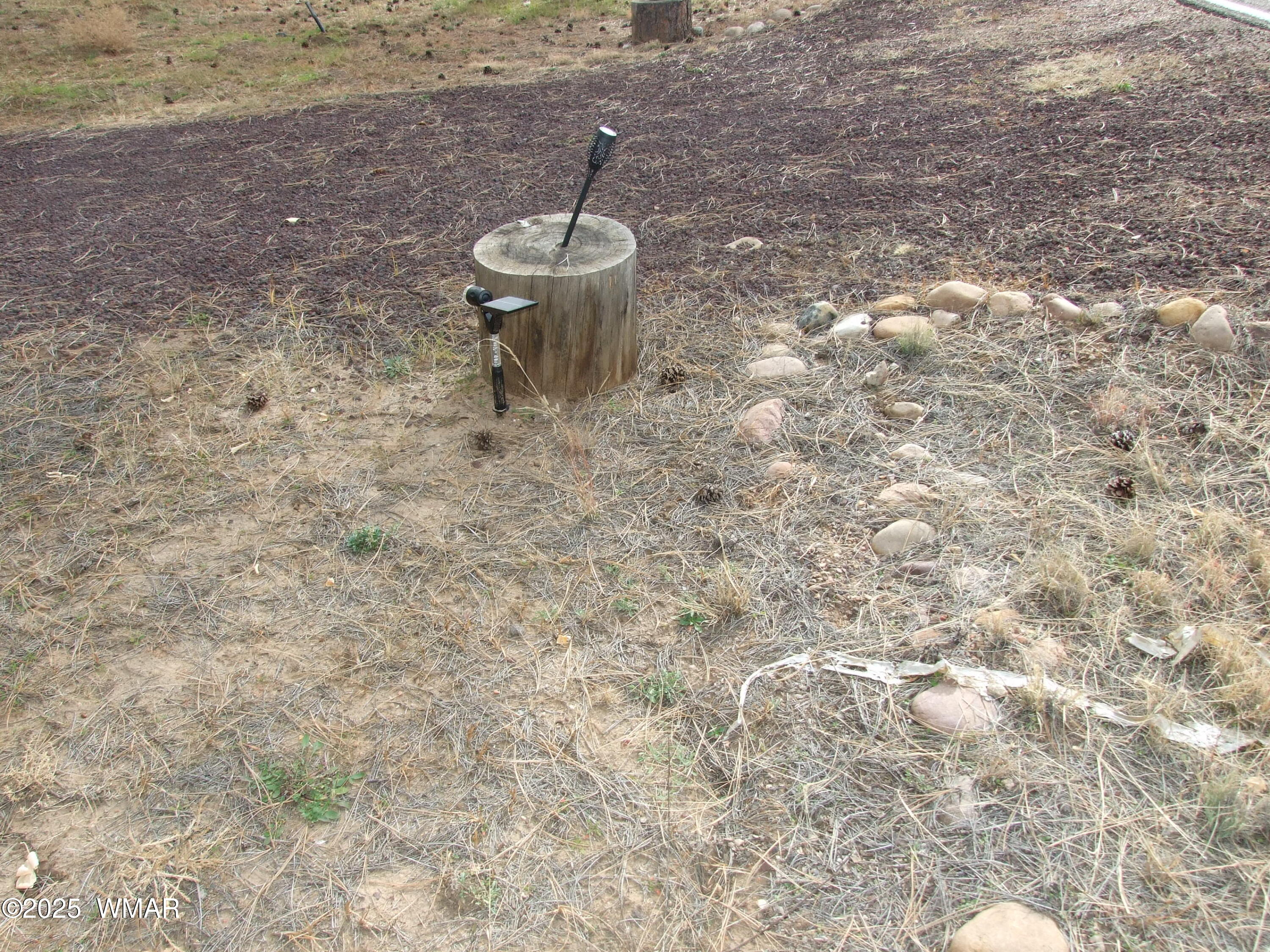 2925 Buckskin Canyon Road Heber, AZ 85928 - Photo 21 of 22 a view of a backyard of a house