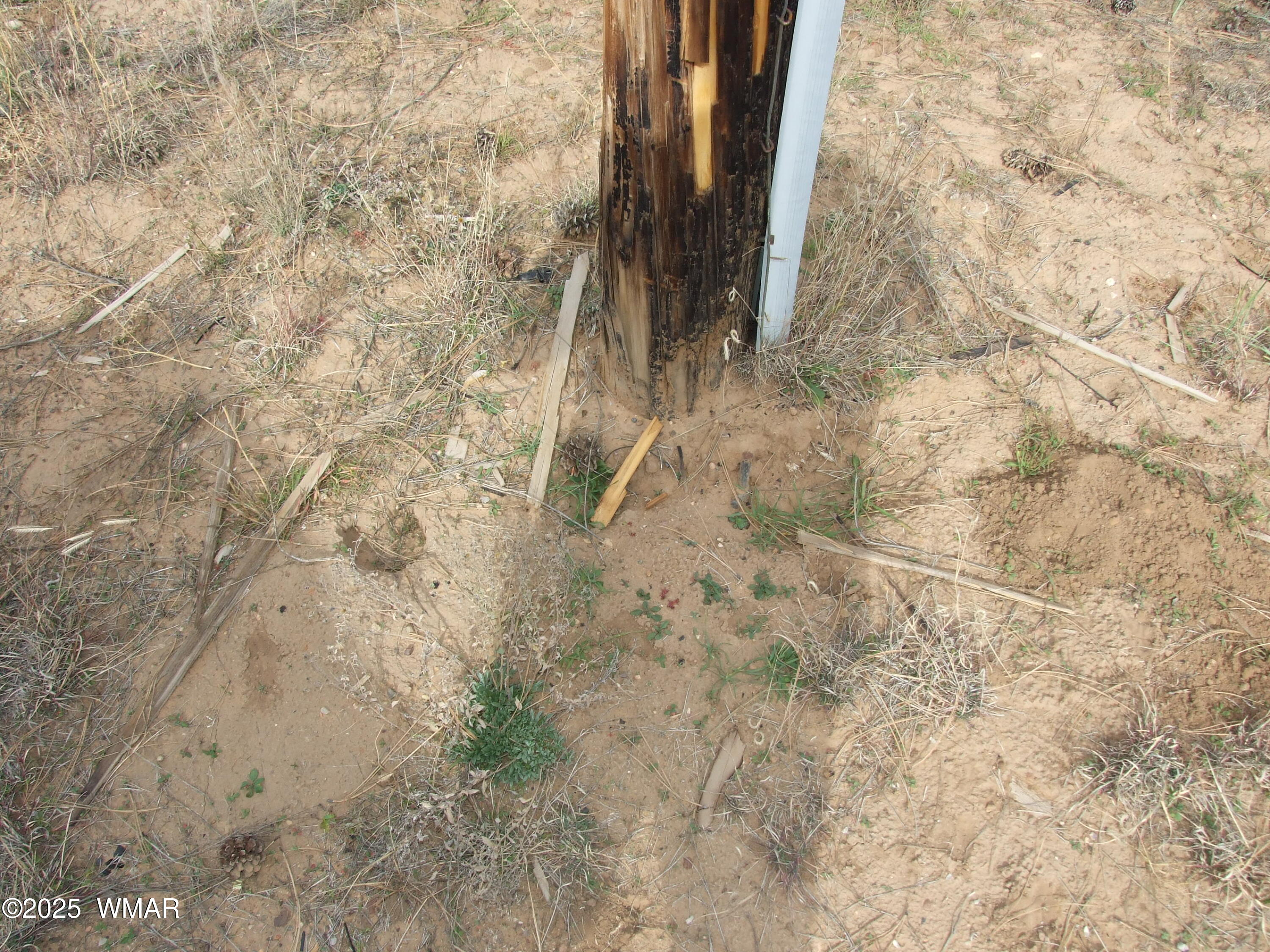 2925 Buckskin Canyon Road Heber, AZ 85928 - Photo 22 of 22 a view of a shower