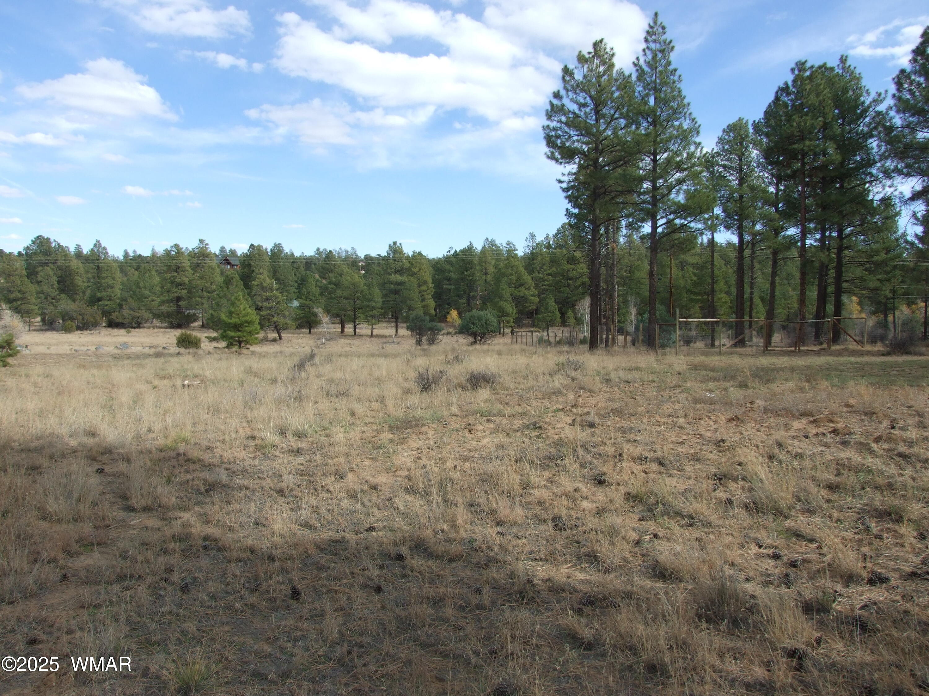 2925 Buckskin Canyon Road Heber, AZ 85928 - Photo 4 of 22 a view of outdoor space with green field and trees all around