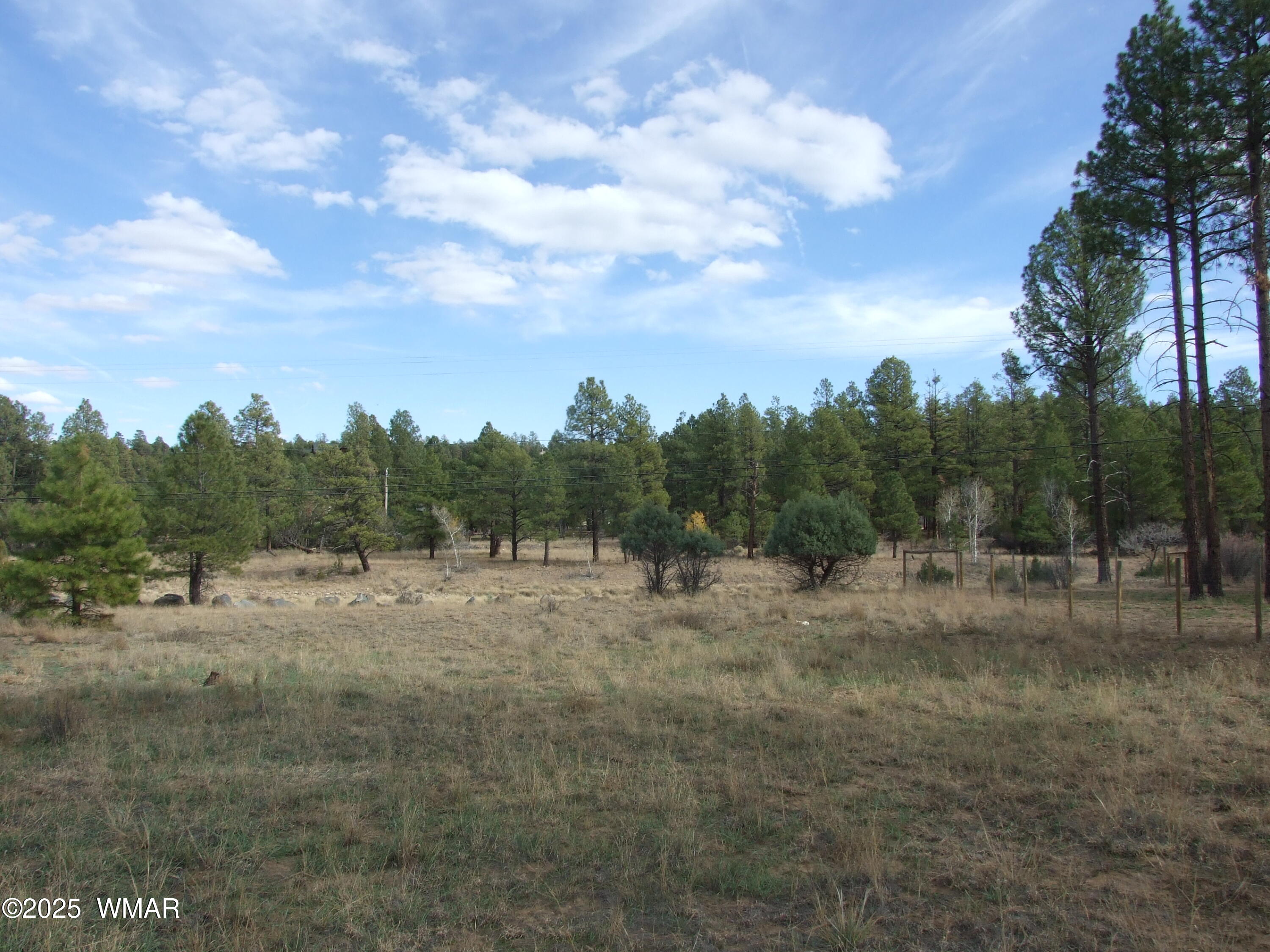 2925 Buckskin Canyon Road Heber, AZ 85928 - Photo 6 of 22 a view of an outdoor space with green space