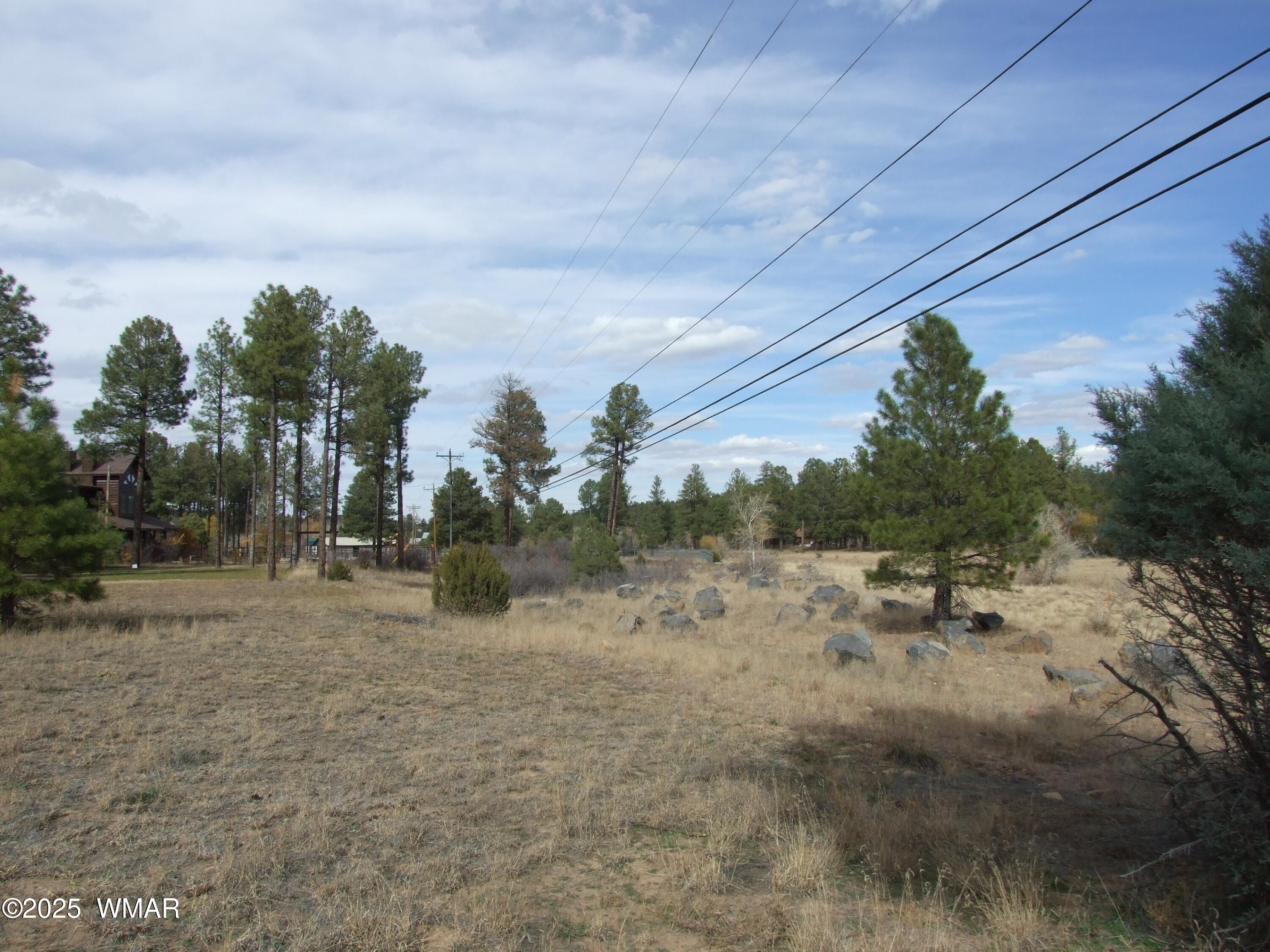 2925 Buckskin Canyon Road Heber, AZ 85928 - Photo 7 of 22 a view of a dry yard with trees in the background