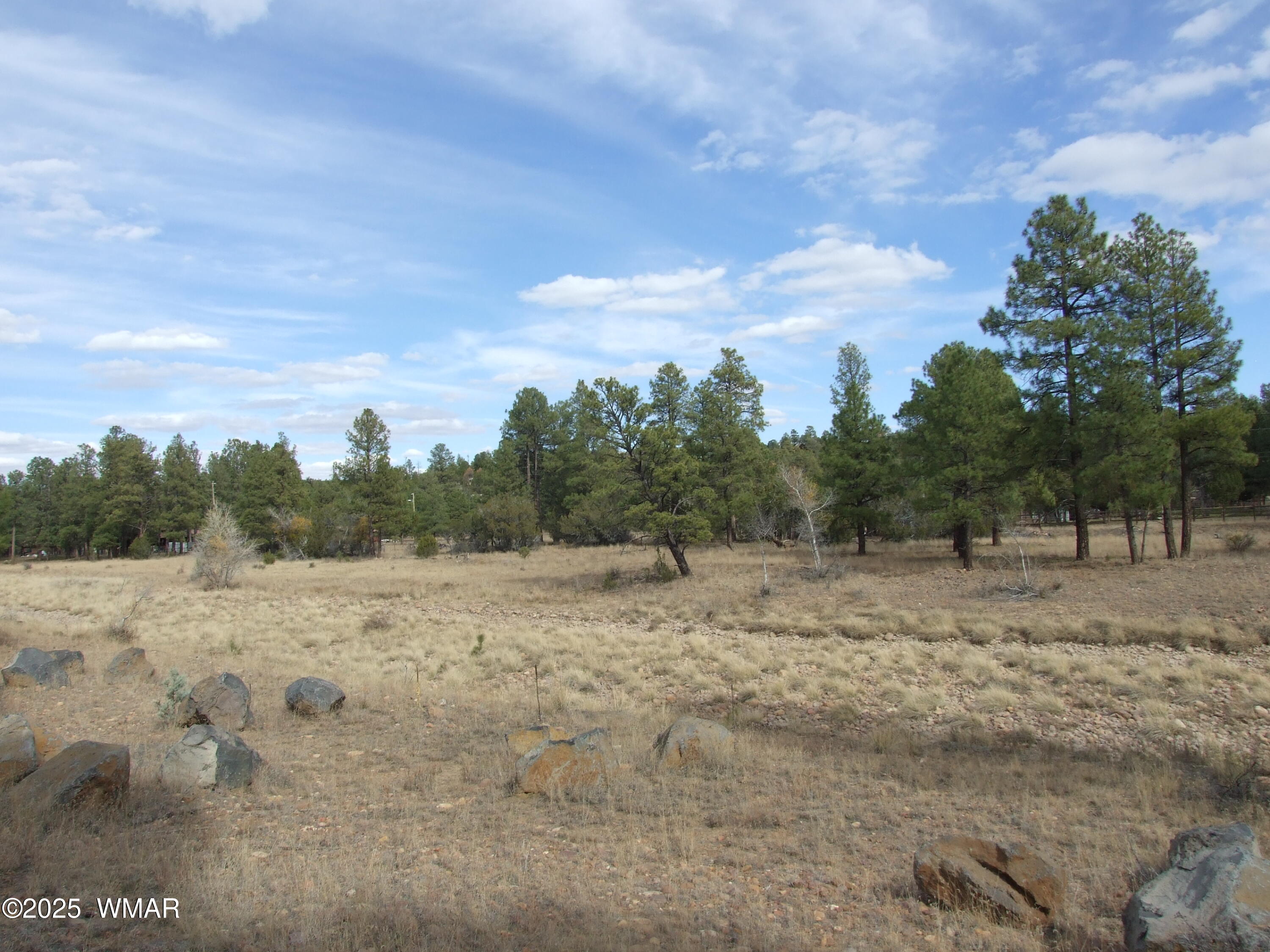 2925 Buckskin Canyon Road Heber, AZ 85928 - Photo 8 of 22 a view of dirt field with large trees